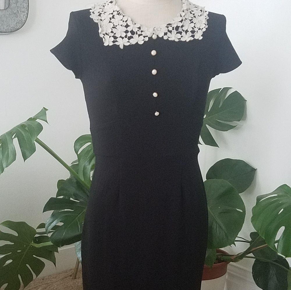 Black and White Lace Collar Button Up Wiggle Dress